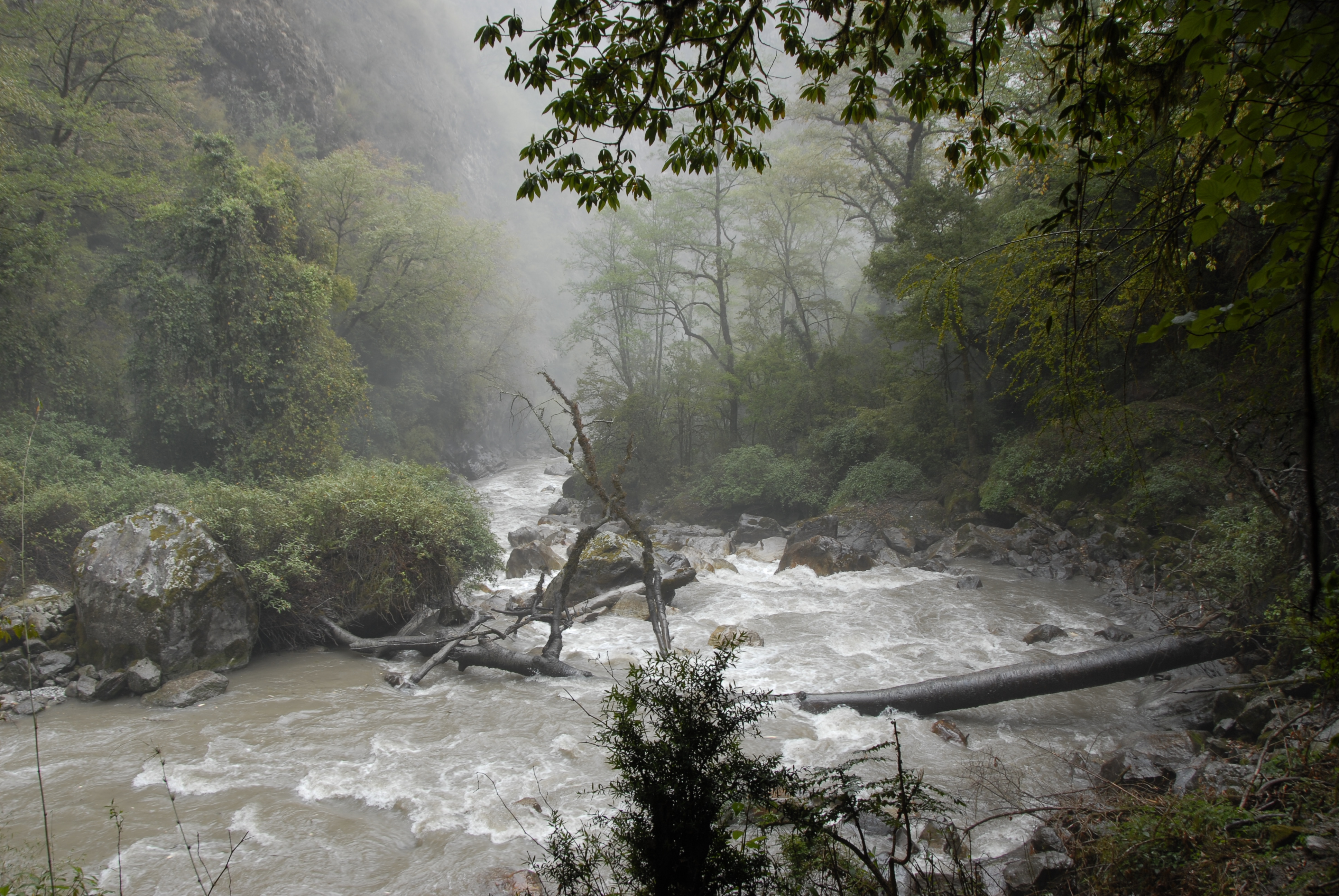  Seconds after the main tremor was over, everything was changed. The river color turned brown, dust and Sulphur smell was in the air and the path was destroyed by small landslides or rocks (by Prof. Dr. Klaus Katzensteiner).