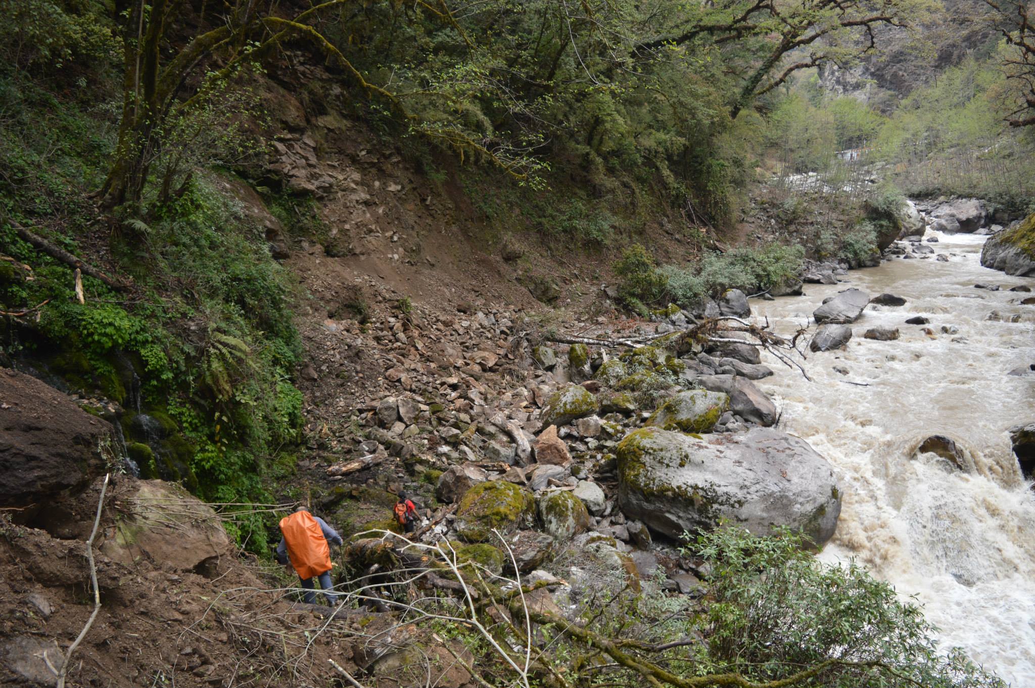 The footpath was completely destroyed and stones still falling down every now and then as a consequence of multiple aftershocks and the loose bedrock material in this region (by Assoc. Prof. Dr. Mohan Devkota).