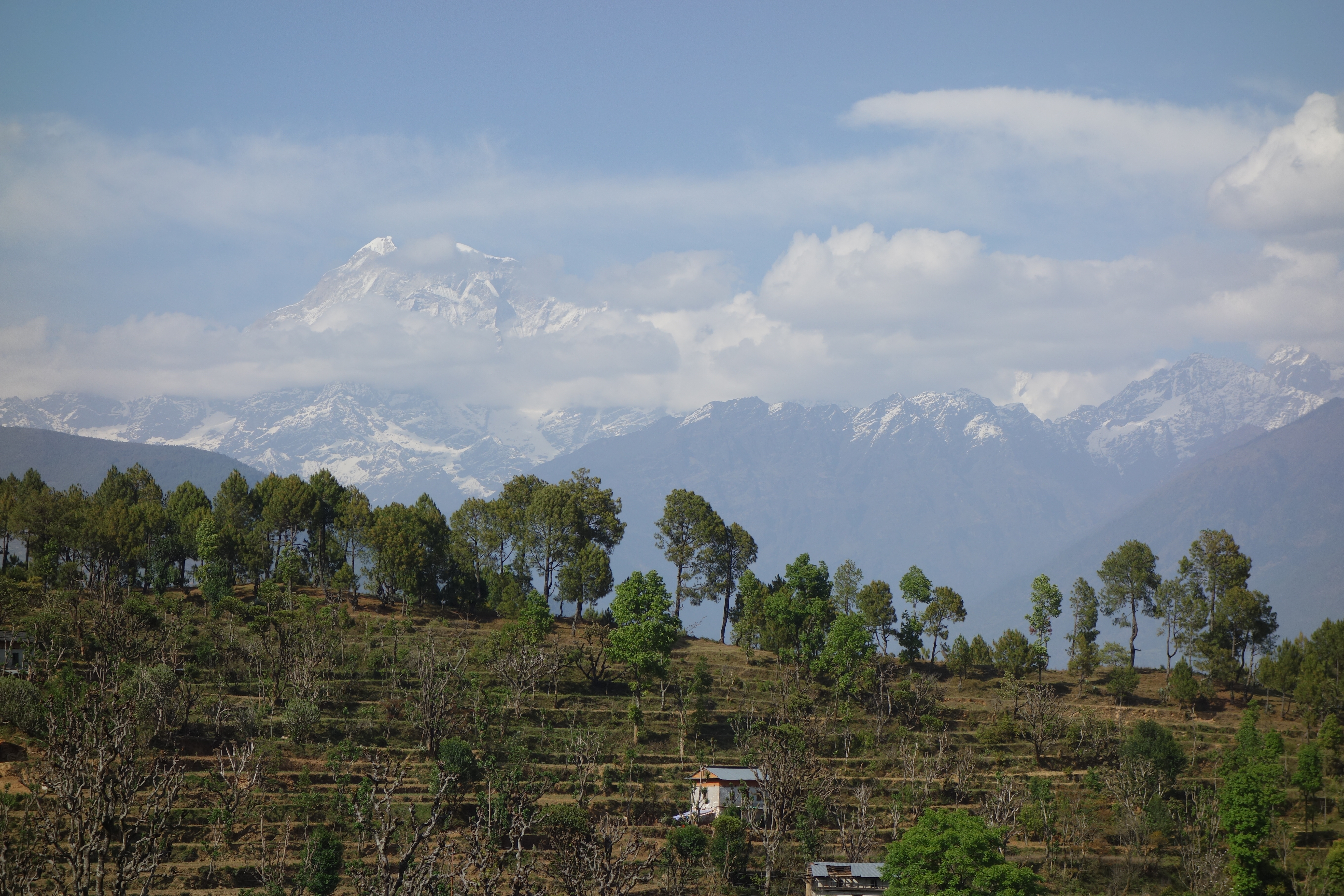 The impressive Gaurishankar, on the Nepal-Chinese border is 7.134m high and serves as eponym for the respective conservation area. Typical land use practices are shown in the foreground with terrace farming and trees used as a source of fodder. Together it represents a kind of agroforestry (by Dr. Viktor Bruckman)