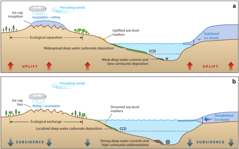 Geodynamics | Geodynamics 101: Dynamic Topography