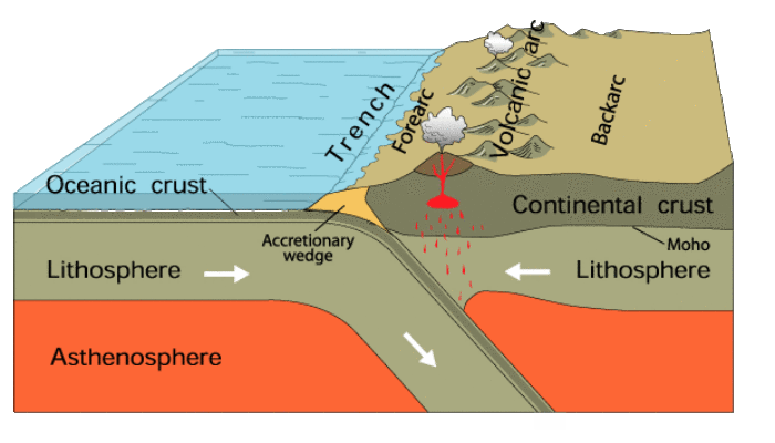 Modelling the Thermal Evolution of Subduction Zones
