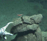 To boldly go… deep sea exploring to study Earth’s interior