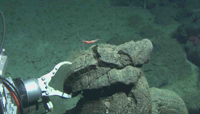 To boldly go… deep sea exploring to study Earth’s interior