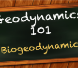 Biogeodynamics