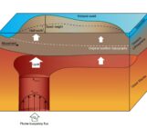 New Insights into Plume Buoyancy Fluxes and Dynamic Topography from Numerical Modelling