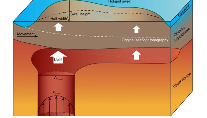 New Insights into Plume Buoyancy Fluxes and Dynamic Topography from Numerical Modelling