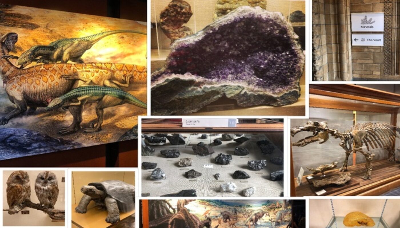 Geodynamics | Geoscience Wonders: My Favourite Natural History Museums ...