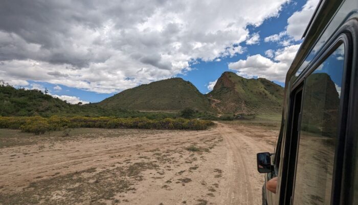 Unraveling volcanic patterns between adjacent rift zones