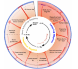 Phase transitions control plume layering during Earth’s secular cooling