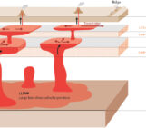 Bored by the Lower Mantle? Think Again!