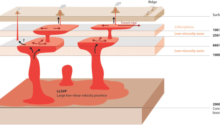 Bored by the Lower Mantle? Think Again!