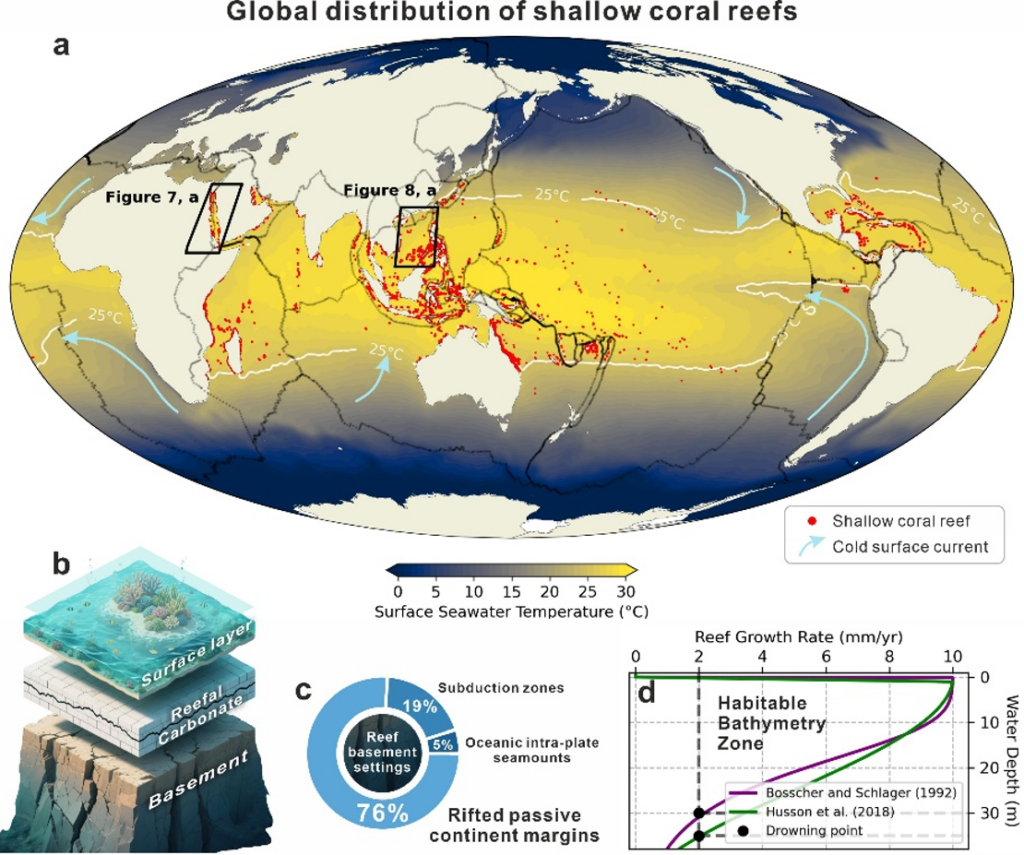 Global distribution of shallow coral reefs and their tectonic settings