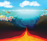 From rifts to reefs: the geodynamic origins of shallow coral reef habitats at passive continental margins
