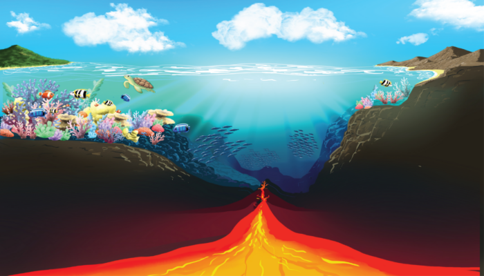 From rifts to reefs: the geodynamic origins of shallow coral reef habitats at passive continental margins