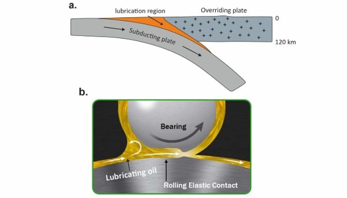 Application of lubrication theory in understanding subduction interface dynamics