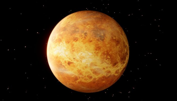 A whole mantle dynamical framework for Venus