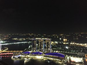 Postcard from Singapore: Global Young Scientists Summit 2018