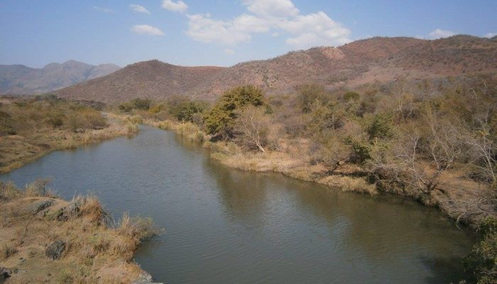 The geodynamic processes behind the generation of the earliest continents