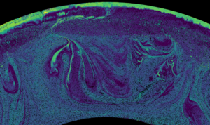 Production and recycling of Archean continental crust