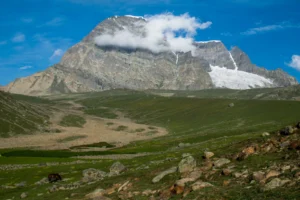 Modelling the deformation in the Indian plate and the India-Eurasia collision zone