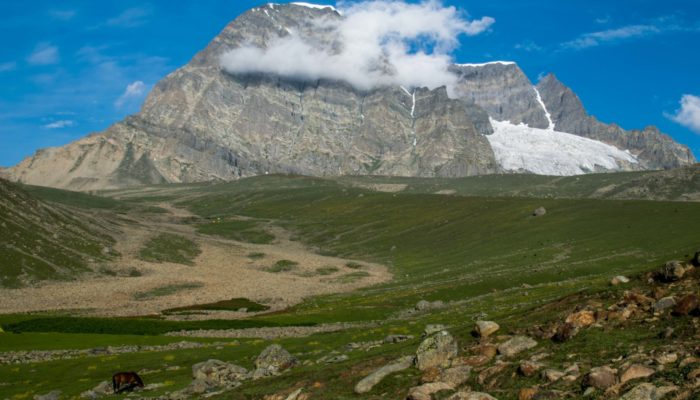 Modelling the deformation in the Indian plate and the India-Eurasia collision zone