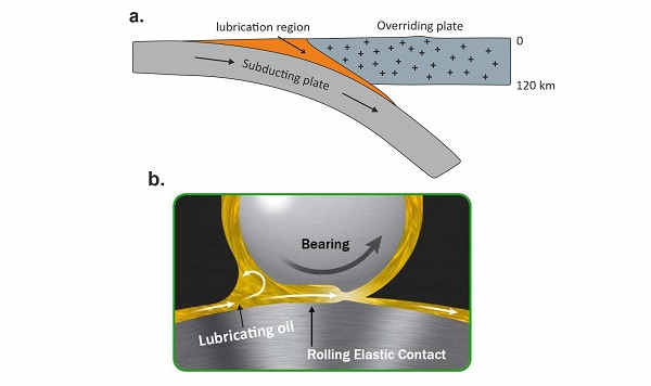 Application of lubrication theory in understanding subduction interface dynamics