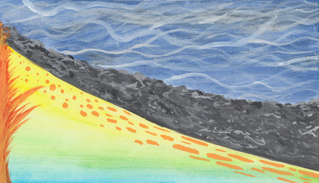 Why do seismic images vary beneath different ocean floors?