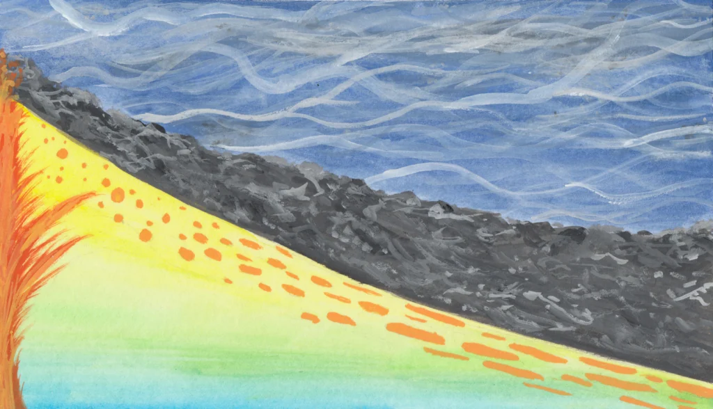 Why do seismic images vary beneath different ocean floors?