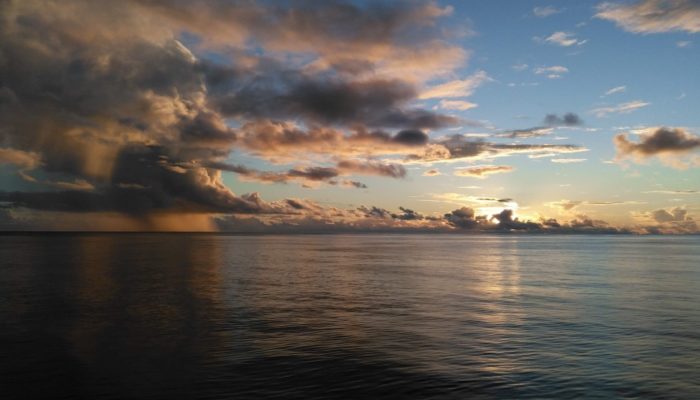 Back-arc systems: arguably the most influential tectonic feature in the oceanic domain