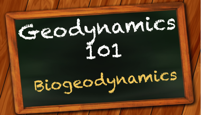 Biogeodynamics