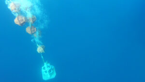 Exploring Kolumbo: Unveiling the Secrets of a Submarine Volcano