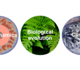Biogeodynamics – Let’s model the entire world!