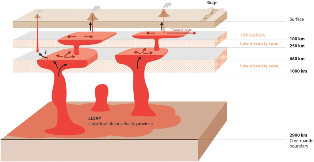 Bored by the Lower Mantle? Think Again!