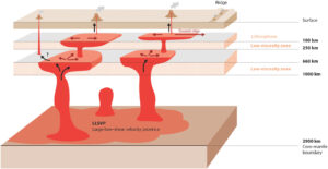 Bored by the Lower Mantle? Think Again!