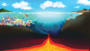 From rifts to reefs: the geodynamic origins of shallow coral reef habitats at passive continental margins