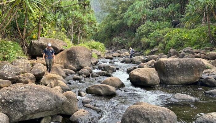 Highlights from Hawaii: Threshold dependent canyon incision?