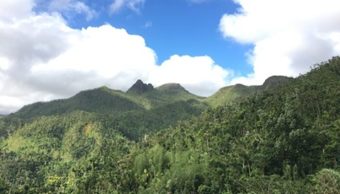 Highlighting: Puerto Rico, Part 1!