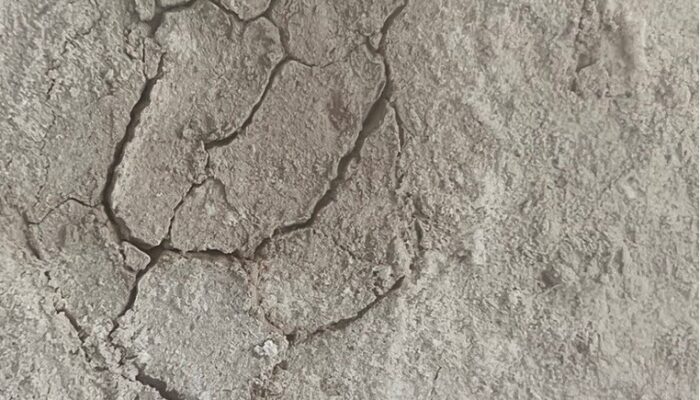 Highlighting: Martian Geomorphology (Interview with  Lauren Mc Keown)