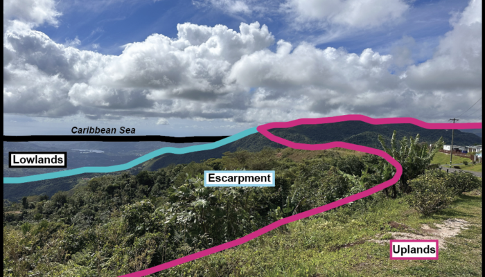 Highlighting: Puerto Rico, Part 2!