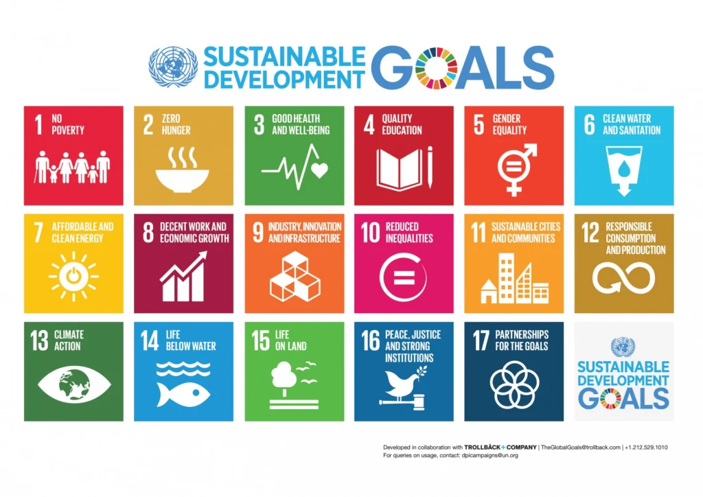 Soil is not dirt cheap: Soils, Sustainable Development Goals, and Geomorphologists.