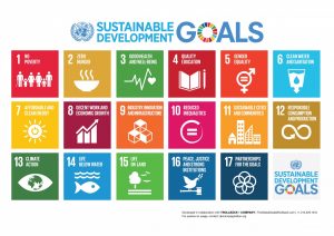 Soil is not dirt cheap: Soils, Sustainable Development Goals, and Geomorphologists.