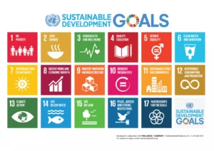 Soil is not dirt cheap: Soils, Sustainable Development Goals, and Geomorphologists.