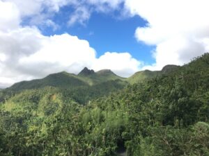 Highlighting: Puerto Rico, Part 1! (Interview with Angus Moore)