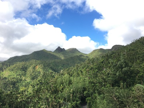 Highlighting: Puerto Rico, Part 1! (Interview with Angus Moore)