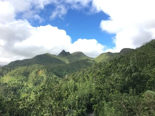 Highlighting: Puerto Rico, Part 1! (Interview with Angus Moore)