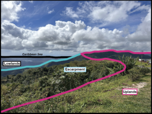 Highlighting: Puerto Rico, Part 2! (Interview with Kate Drobnich)