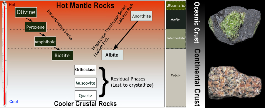 Diagram of Bowen's Reaction series depicting the typical crystallisation sequence of igneous magmas from mafic minerals like olivine to felsic minerals like quartz