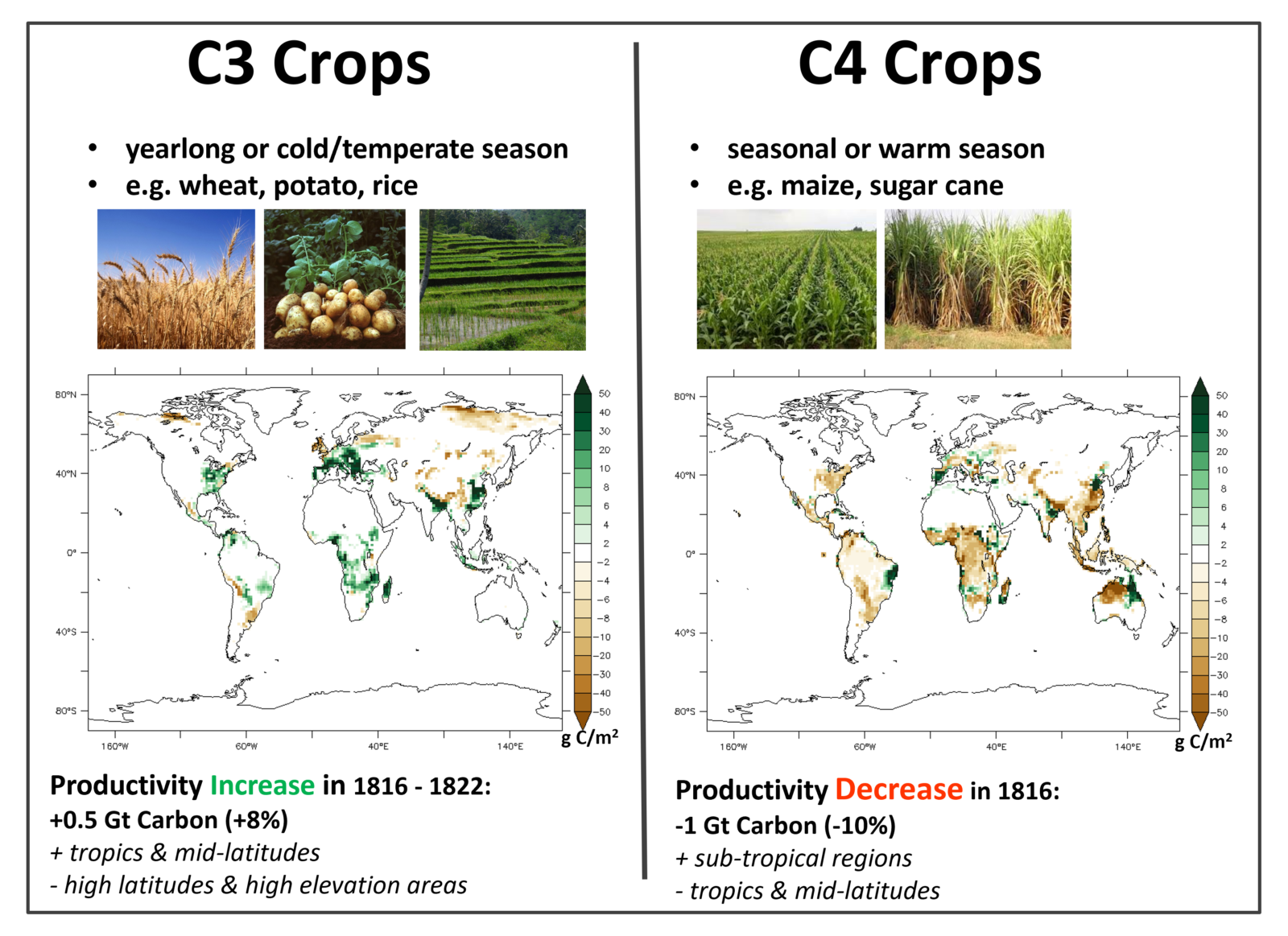 Regional anomalies of the net primary productivity (NPP) of two different types of Crops: C3 (e.g. wheat and potatoes) and C4 (e.g. maize and sugar cane)