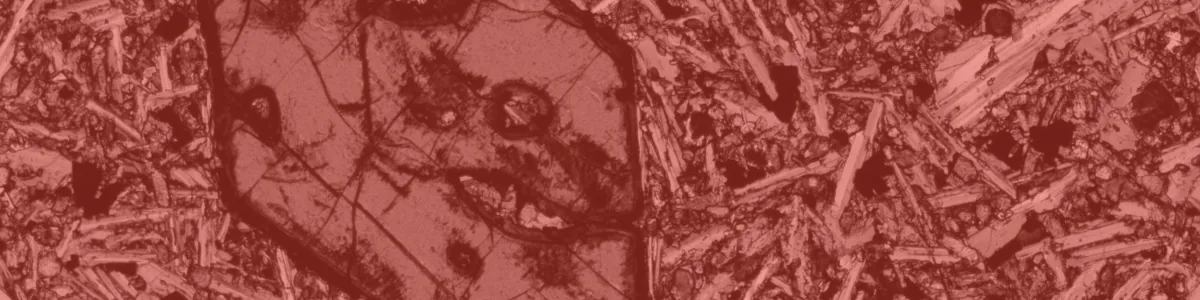Tinted detail of a photo: Polarised-light micrograph of a large bright blue crystal with a dark rim and cracks, surrounded by a dense mesh of small needle-shaped crystals in pink, yellow and blue.