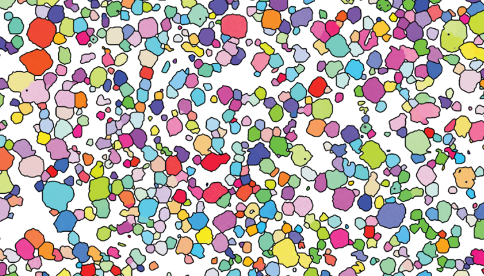 How do crystal aggregates form in magma chambers?